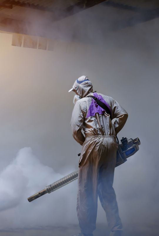 Roach Fumigation in Phoenix, AZ